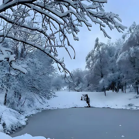 Geissenblick 布劳恩拉格