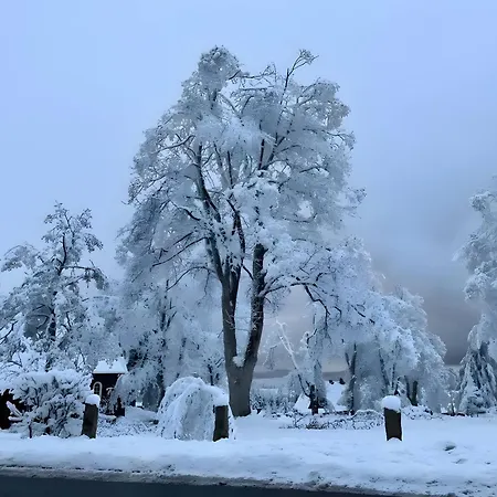 Geissenblick 公寓 布劳恩拉格