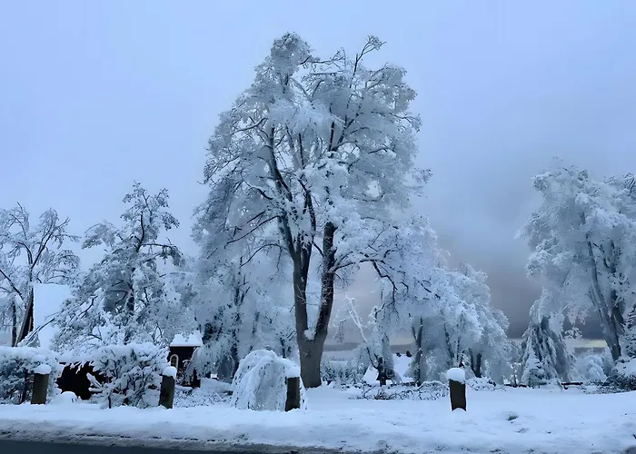 Geissenblick 公寓 布劳恩拉格