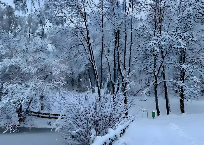 Geissenblick 公寓 *