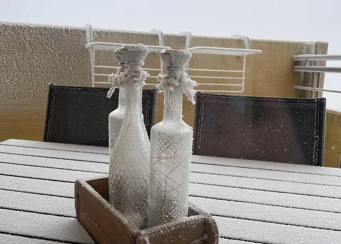 Geissenblick 公寓 *